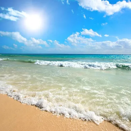Souris Appartement